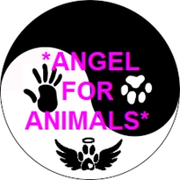 Angel for Animals