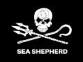 shop2help.net - HolidayCheck - Sea Shepherd